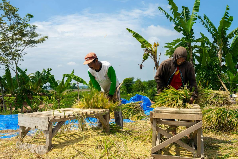 How financing farmers advance Africa’s agriculture industry